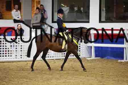 JLY-1479