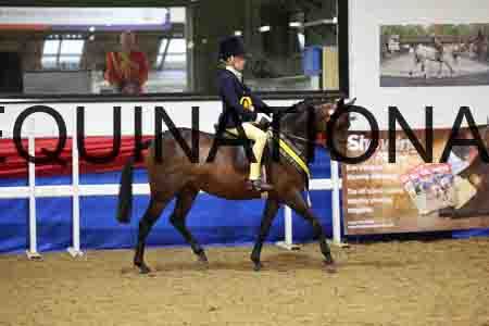 JLY-1484