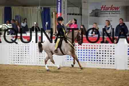 JLY-1489