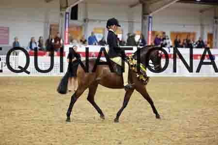 JLY-1499