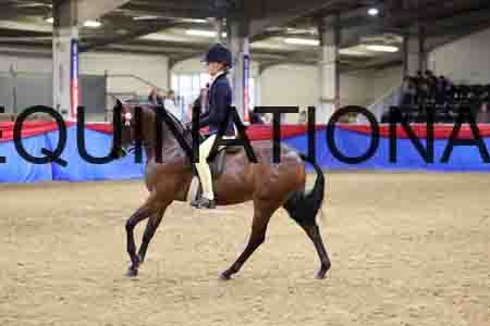 JLY-1555