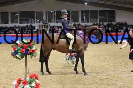 JLY-1606