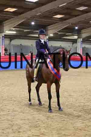JLY-1617
