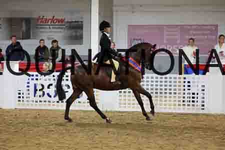 JLY-1629