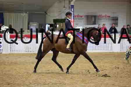 JLY-1653