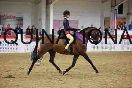 JLY-1654
