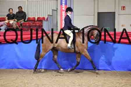 JLY-1685