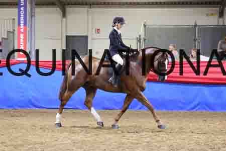 JLY-1696