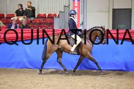 JLY-1699