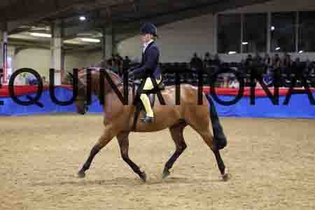 JLY-1721