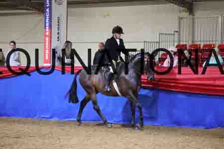 JLY-2013