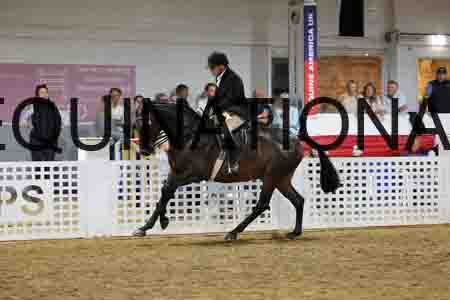 JLY-2027