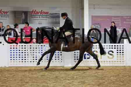 JLY-2028