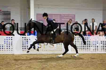 JLY-2032