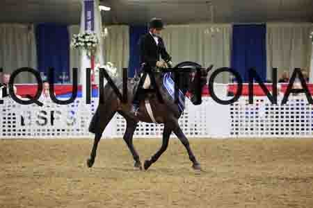 JLY-2121