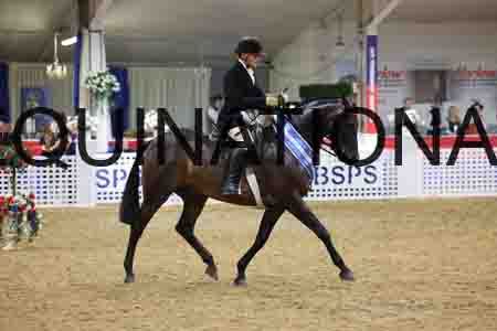 JLY-2123
