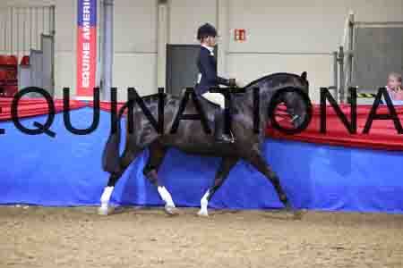JLY-2148