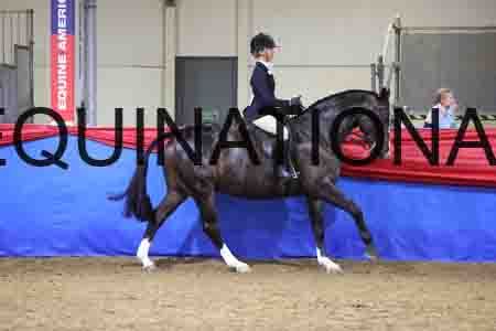 JLY-2168