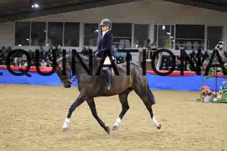 JLY-2185