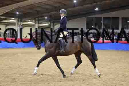 JLY-2186