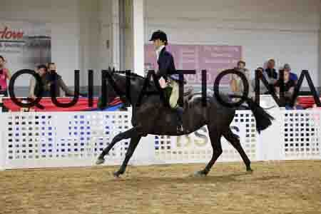JLY-2194