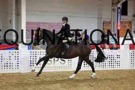 JLY-2207