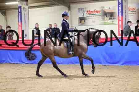 JLY-2278