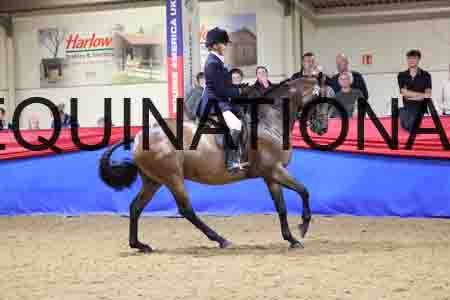 JLY-2279
