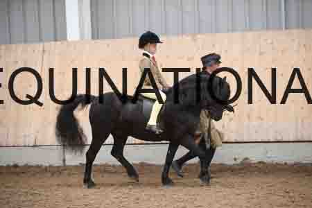 PVP-1933