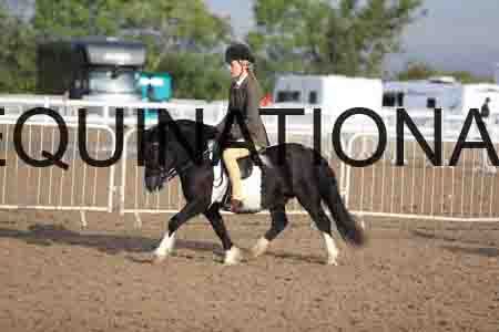 BAB-1100