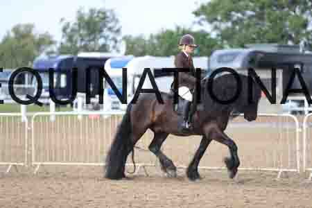 BAB-1354