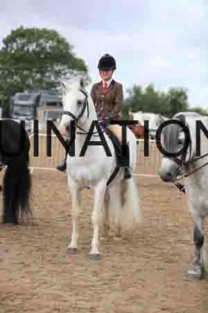 BAB-1481