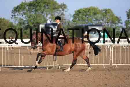 LRS-1103