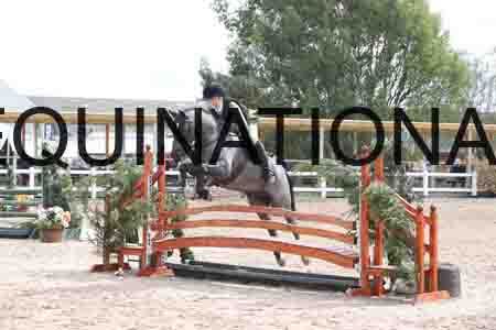 DDX-1810