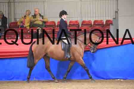 CAC-1208