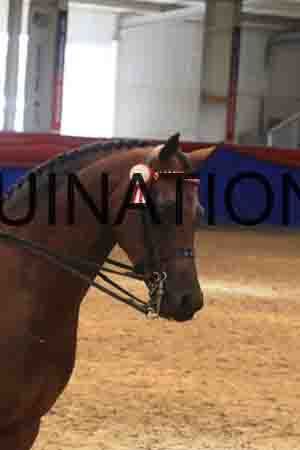 CAC-1648