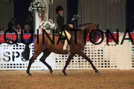 CAC-2013