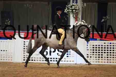 CAC-2014