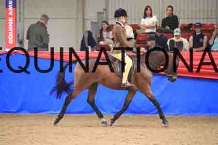 CAC-2405