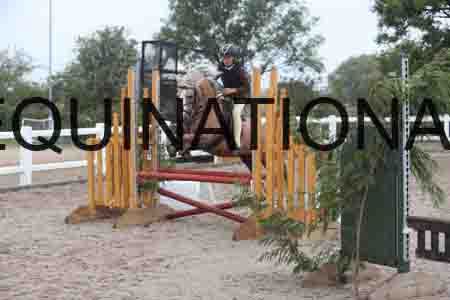 SSS-1360