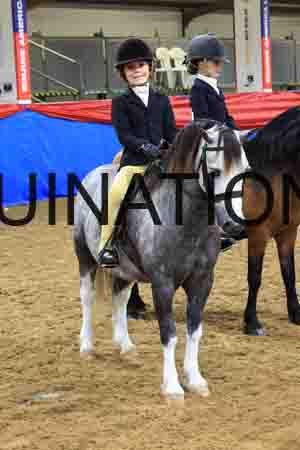 YCS-1451