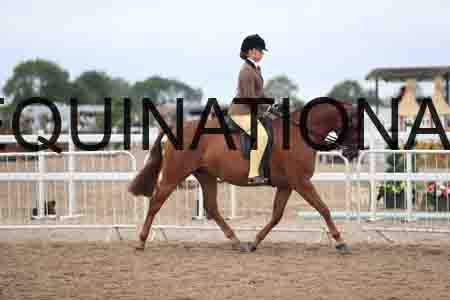 LRS-1460