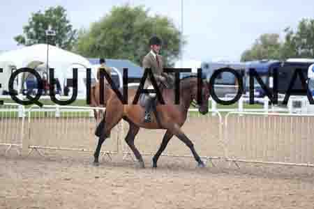 LRS-2740
