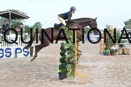 MOS-1033