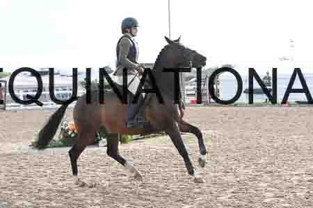 MOS-1068
