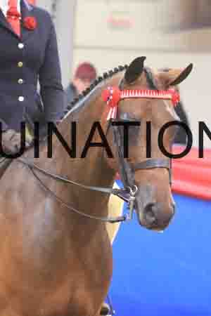 TAS-1115