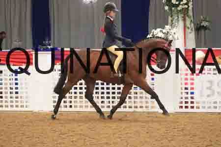 TAS-2010