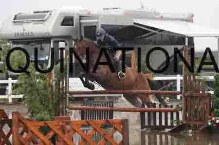 POR-1197