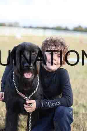 DOG-1008