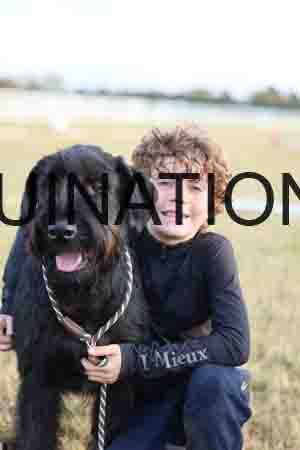 DOG-1009